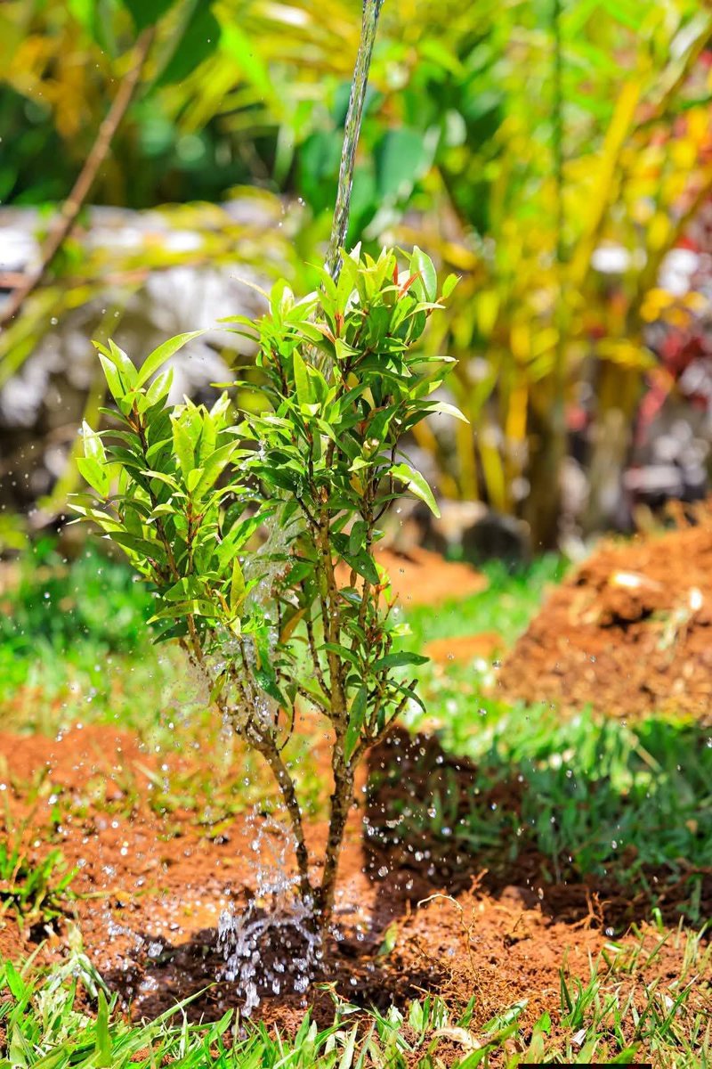 TourismKe__'s tweet photo. During UN Tourism Week 2026, participants took part in a tree-planting exercise along the Sosian River in Eldoret City, Uasin Gishu County, as part of the week’s activities.

The exercise brought together tourism stakeholders and partners to contribute to the restoration and protection of the local environment, while highlighting the connection between healthy ecosystems, vibrant destinations and sustainable tourism.

As Eldoret hosts UN Tourism Week, the tree-planting exercise adds a practical local dimension to the conversation on tourism  demonstrating that destination development must go hand in hand with caring for the natural spaces within our communities.