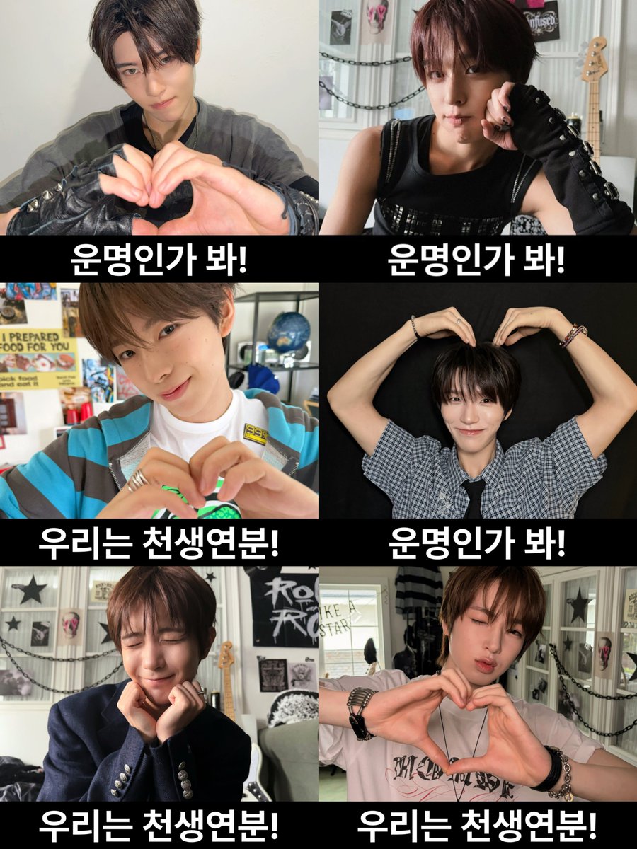 midorinostar's tweet photo. 위시닷컴 6명 다 모아보니까 멘트도 조금씩 다르네!!!

❤️‍🔥 운명인가 봐! 🌷🐈‍⬛🌳
      우리는 천생연분! ⭐️🦭🥐

❤️ 나쁘지 않은데? 🌷🐈‍⬛🥐
      제법 잘 맞네요 ⭐️🌳🦭

❤️‍🩹 우리 좀 더 알아가자 🌷🌳
      더 분발하도록 🐈‍⬛⭐️🦭🥐 https://t.co/M4eoQR9Nw8