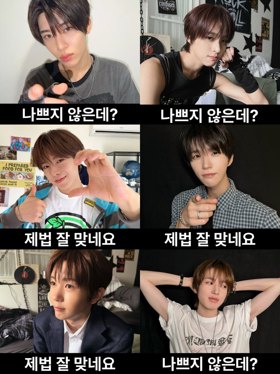 midorinostar's tweet photo. 위시닷컴 6명 다 모아보니까 멘트도 조금씩 다르네!!!

❤️‍🔥 운명인가 봐! 🌷🐈‍⬛🌳
      우리는 천생연분! ⭐️🦭🥐

❤️ 나쁘지 않은데? 🌷🐈‍⬛🥐
      제법 잘 맞네요 ⭐️🌳🦭

❤️‍🩹 우리 좀 더 알아가자 🌷🌳
      더 분발하도록 🐈‍⬛⭐️🦭🥐 https://t.co/M4eoQR9Nw8