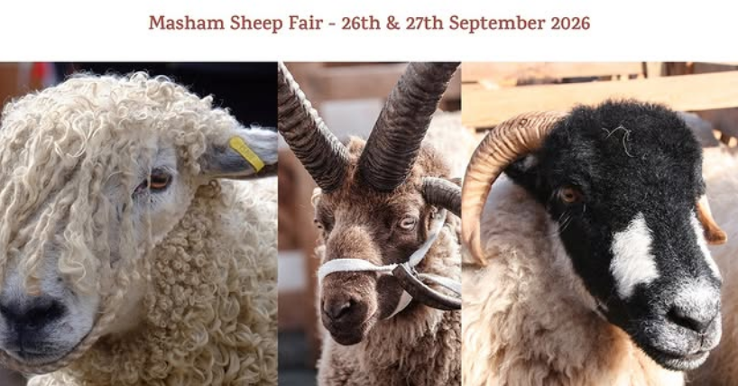 HelloYorkshire's tweet photo. 🐑 THE MASHAM SHEEP FAIR IS HERE AGAIN! 🎉

Come on down on 26th &amp; 27th September 2026 for a fantastic weekend packed with sheep, entertainment, family fun and plenty to see and do!

More info here: https://t.co/j0lDCffsPG

#MashamSheepFair #Masham #SheepFair #FamilyFun https://t.co/ph9qyrWkf9