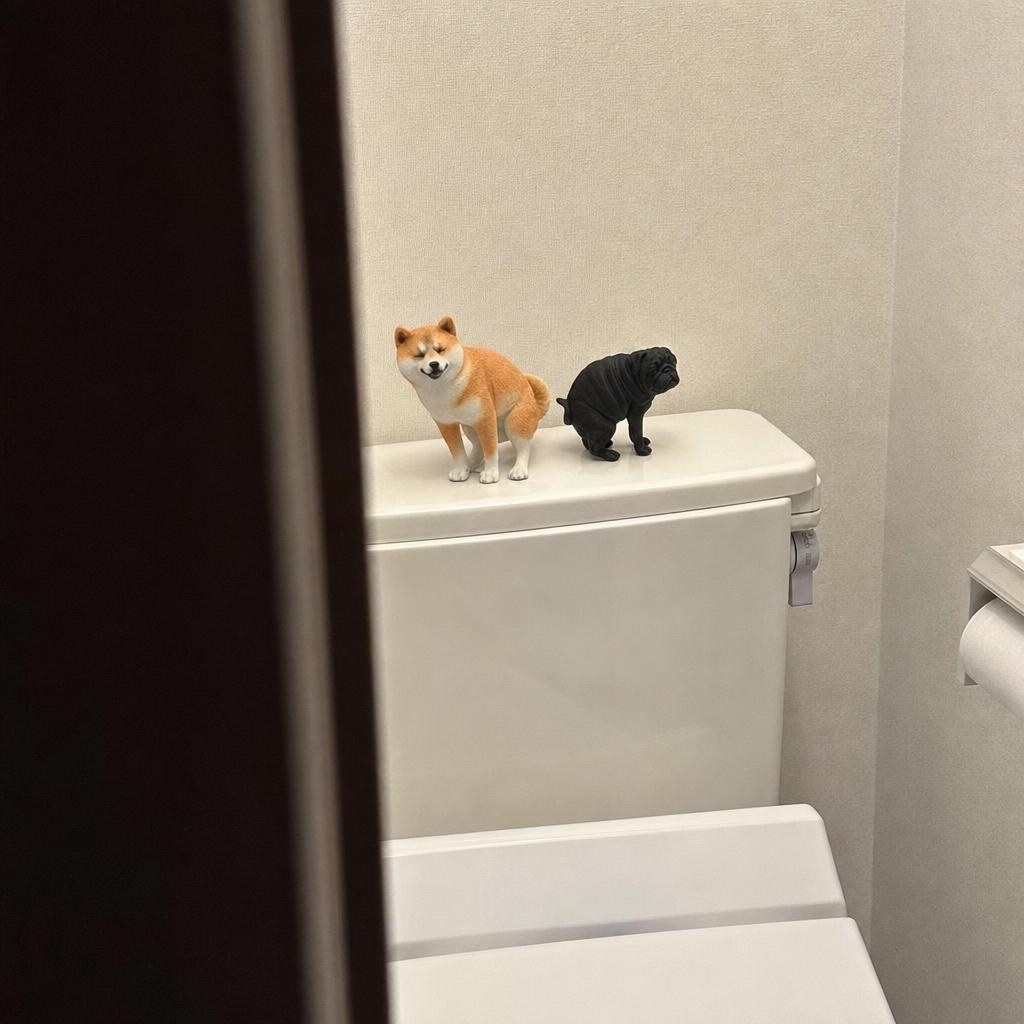 life_upgrade_m's tweet photo. 友達の家でトイレ借りたら、かわいい先客がいた！
見守られてると、いつもより頑張れる気がする笑
トイレ可愛くしたい人にオススメです(pr)