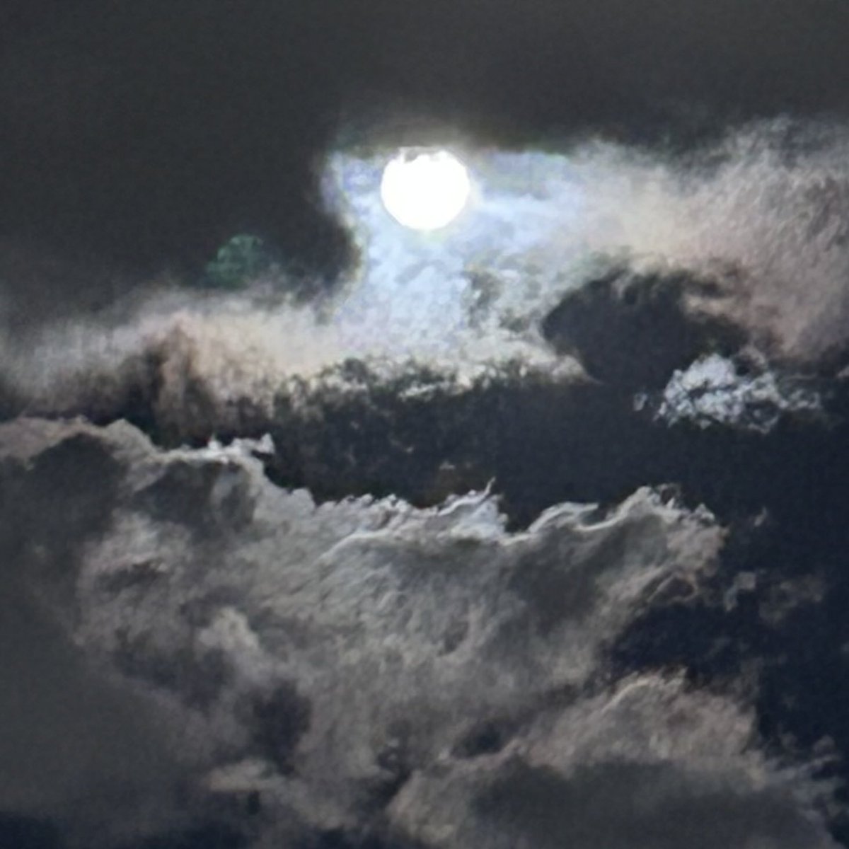 Kochiuq's tweet photo. 🌕18時20分のお月様🌕

🌈結婚して40年🌈
夫が初めて・・
外にでてお月様見に行こう〜〜😭

夕食の準備してたけど
手を止めて外に見にいきました🌕

1分ぐらいかなー外にいたの😆
寒かった💦🤣
夫の愛にふれました🤭💕 https://t.co/8xvDIqDhBI