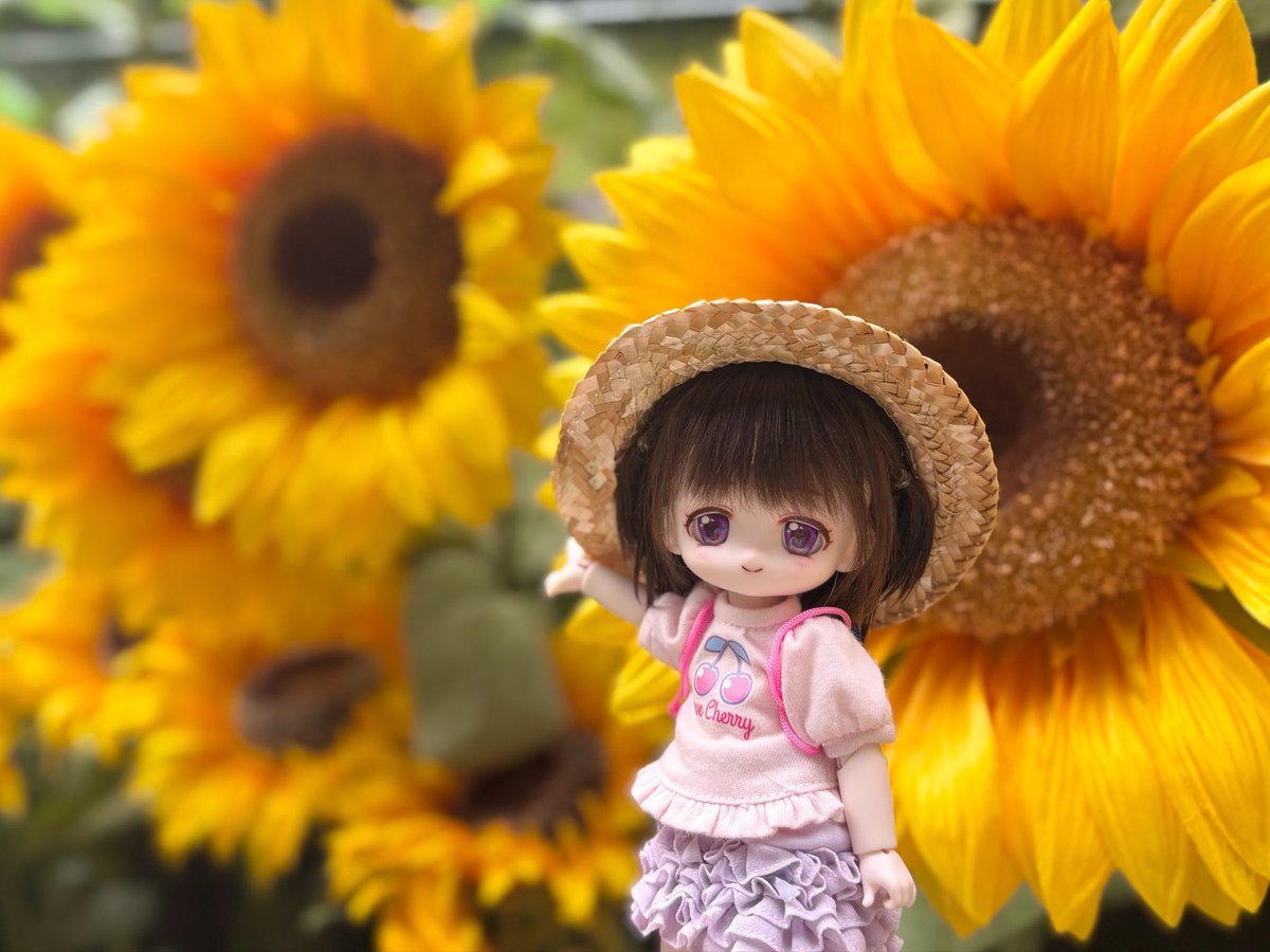 0430ui's tweet photo. 夏の最後にういちゃんとひまわりと撮影したよ🌻

#ボニバニ6 https://t.co/QxSRjBKB0I