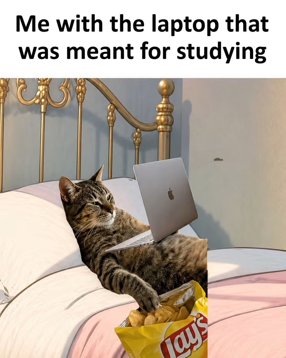 WholesomeMeme's tweet photo. https://t.co/muI77cuBxO