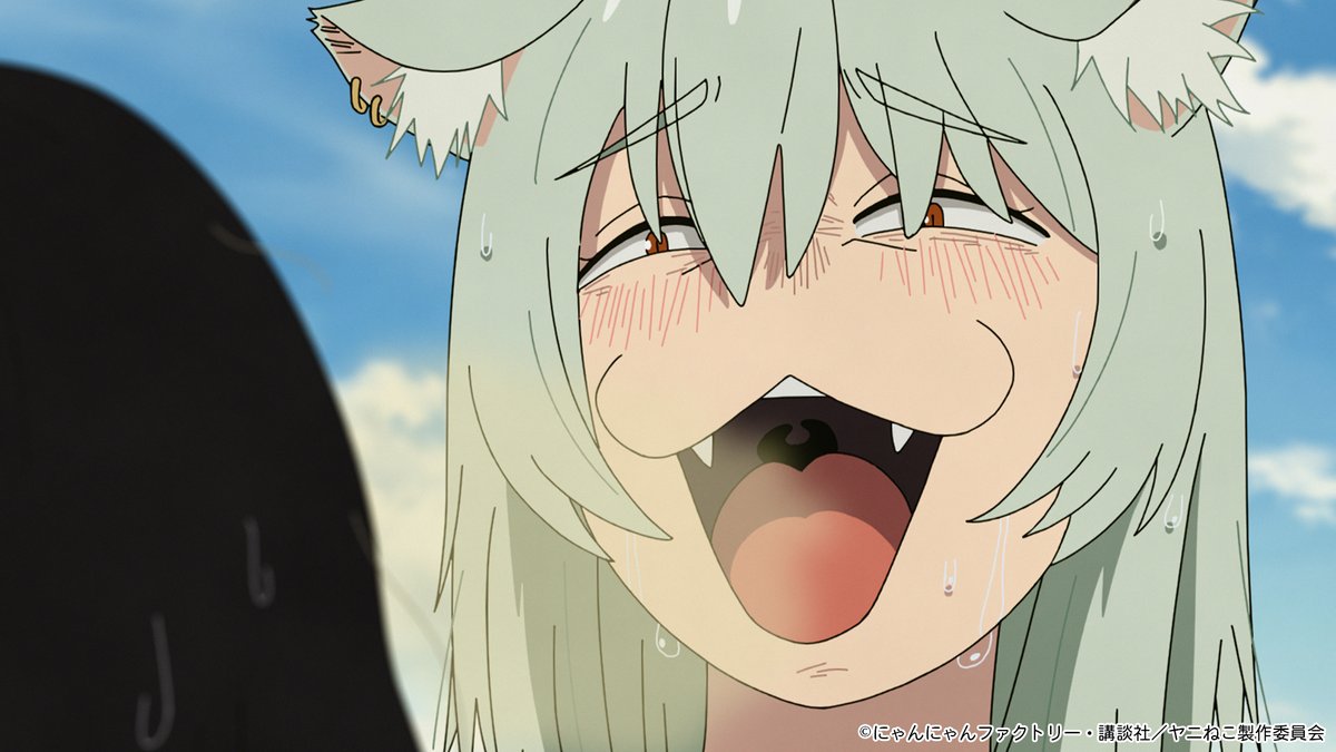 AnimeAnime_jp's tweet photo. 🚬🐈 最終回を迎えたTVアニメ『ヤニねこ』。あの“妙に耳に残る曲”を作ったのは？「ニコチン受容体体操」の作曲、「僕はダーリン」の作曲・歌唱、さらに劇伴やアイキャッチの声まで。

手掛けたのは、日本ロック界を半世紀以上走り続ける鈴木慶一です。
『ヤニねこ』のゆるさ、可笑しさ、妙な哀愁を引き出した音楽に注目します🎧
▼記事はこちら
https://t.co/G1QCaSeCTi
#鈴木慶一 #ヤニねこ