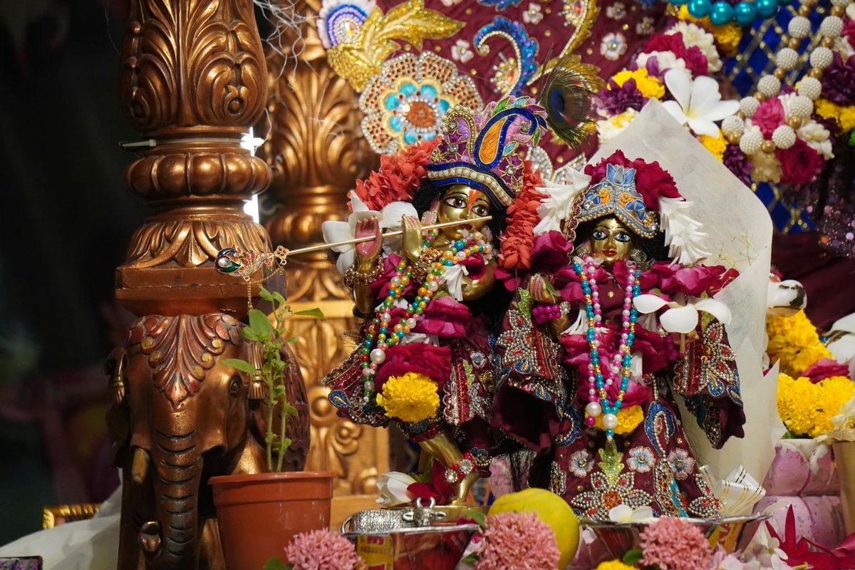 Iskcon_vvn's tweet photo. —❀꧁𝐻𝑎𝑟𝑒 𝐾𝑟𝑖𝑠ℎ𝑛𝑎꧂❀—
🌿🛕Shringar Darshan🛕🌿
—❀꧁25-09-2026꧂❀—
🌹 Sri Sri Radha Giridhariji🌹 
🌷ISKCON VVN Anand🌷
—❀꧁𝐻𝑎𝑟𝑒 𝐾𝑟𝑖𝑠ℎ𝑛𝑎꧂❀— https://t.co/XMWsdwyPyf