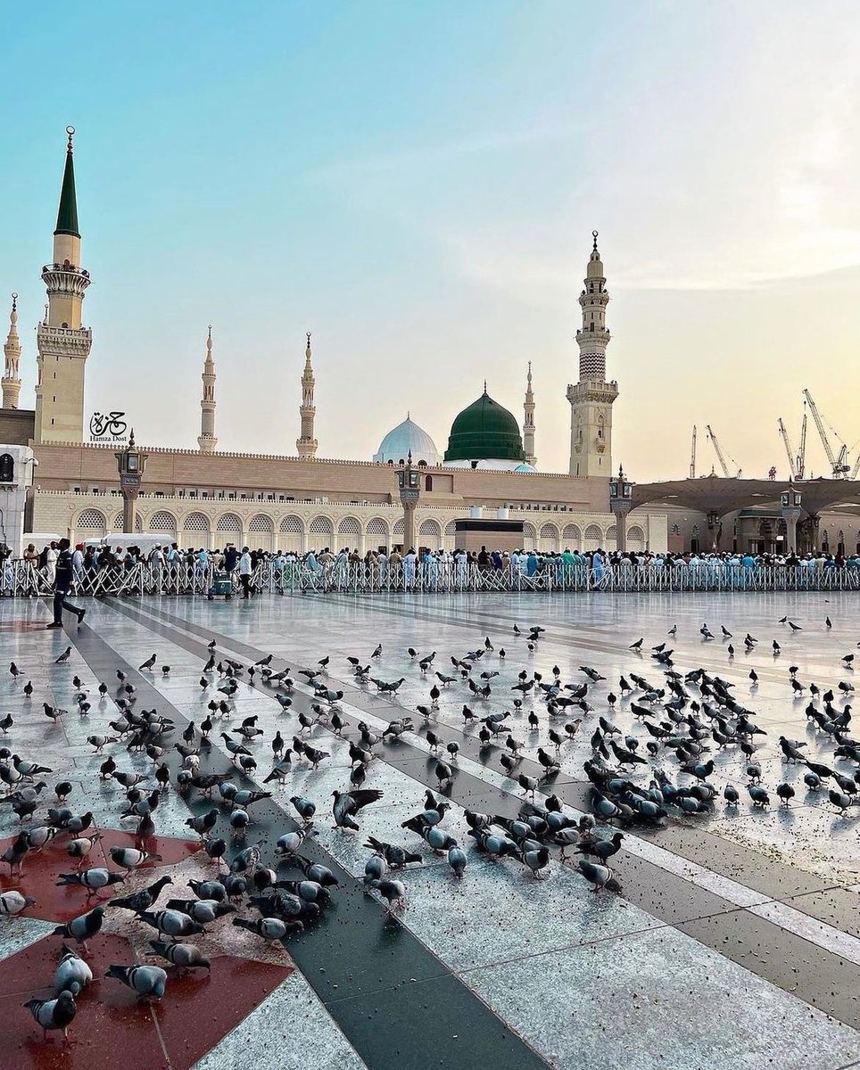 rh_r10's tweet photo. سلوى الحنينِ وحبِّنا لنبيِّنا 
أنَّ السلامَ عبادةٌ في ديننا 

فعلى الرسولِ صلاتنا وسلامنا 
وإليه أعظم شوقنا وحنيننا🌷🌹 https://t.co/RLAWbWPIYP