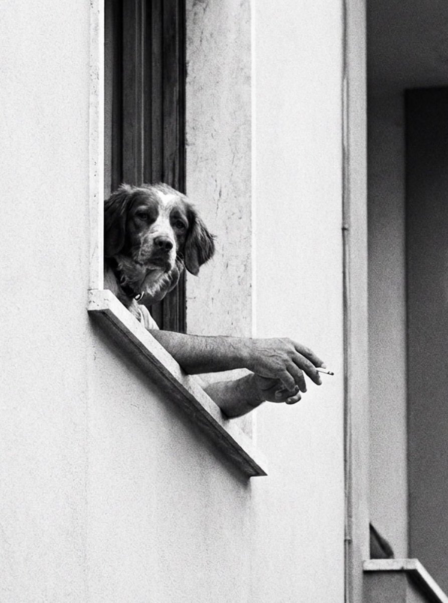 the_gpc_'s tweet photo. A street moment 📸
By: paolo belloni https://t.co/e7kuJZiXbU