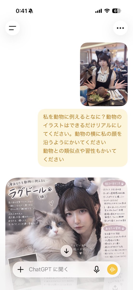 rn_io7's tweet photo. うちのとうふラグドールだから運命感じた✨✨ https://t.co/Z1cF2Vom4I