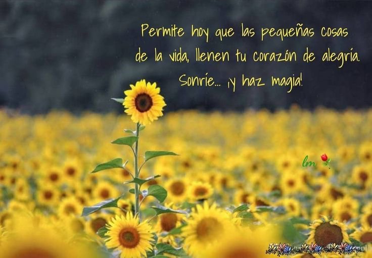 andycrisalidaok's tweet photo. Buenos días.
Viernes y la primavera dice hola 👋💐🌸🤩
Café y a trabajar https://t.co/CTf8tlDgFA