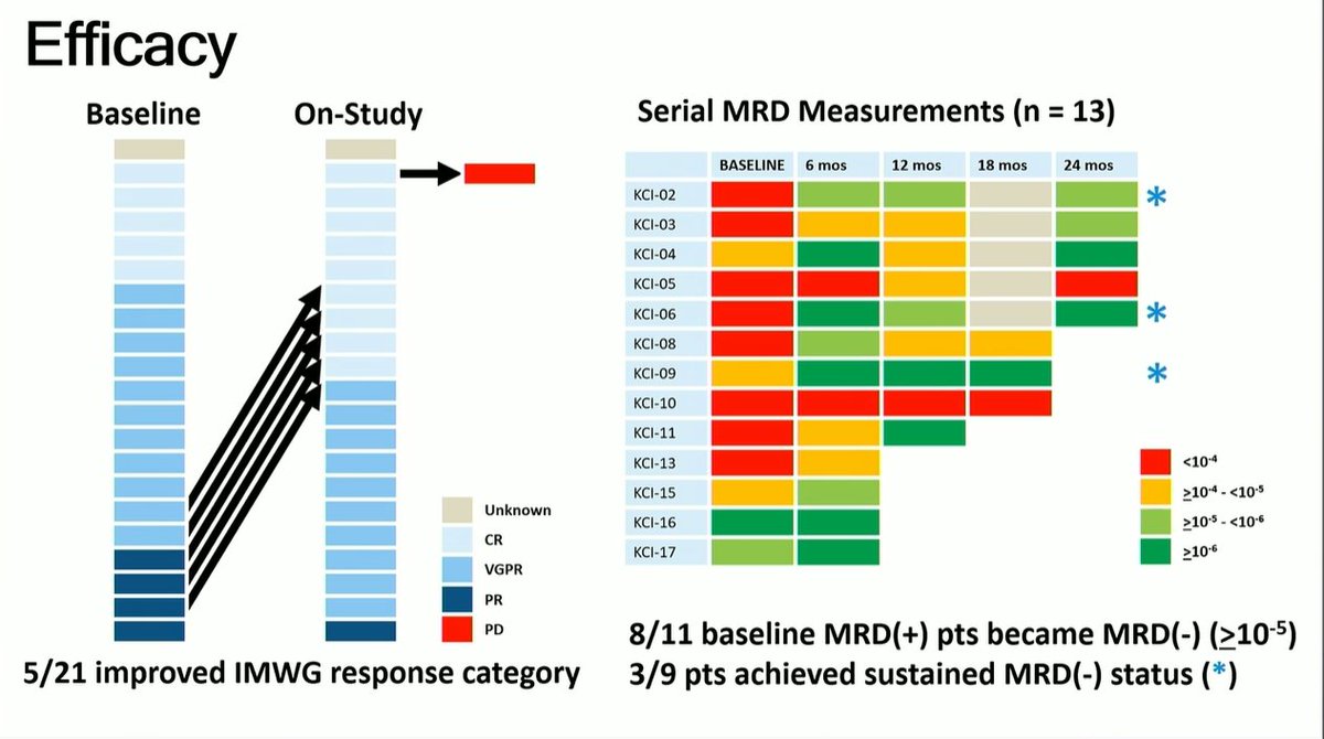 Multiple Myeloma Hub (@MM_Hub) — #IMS26 — IBEX data slide
