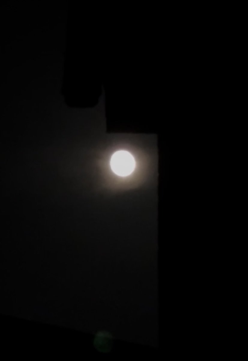 ginirokujira's tweet photo. 今日は曇ってるからお月様🌕見えないかもな〜と思って雨戸閉めようとしたら、ちょうど近所のお家の隙間に上って来たところが見られて嬉しい〜🙏✨
あんまり綺麗に撮れないけれども💦 https://t.co/R4bQrwH3Hy