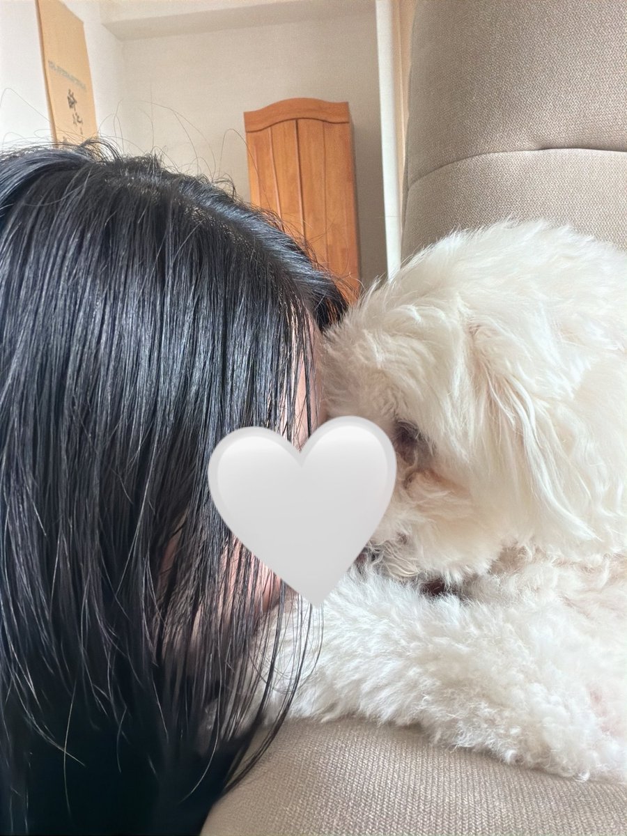 chachachapopo's tweet photo. なかよし https://t.co/QXbDrXr8ig