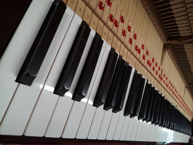 pianopark222's tweet photo. カワイピアノ KDX-550 入荷
稀少モデルの入荷
人気の中型サイズの木目
オールアンダーフェルトハンマー
お洒落なワインカラーのネコ脚
重厚感のある優しく素晴らしい音色
https://t.co/gobfD1AjIw
#カワイピアノKDX550
#KAWAI
#オールアンダーフェルトハンマー
#木目ピアノ
#中古ピアノ
#ピアノパーク https://t.co/naxOIwu7jn