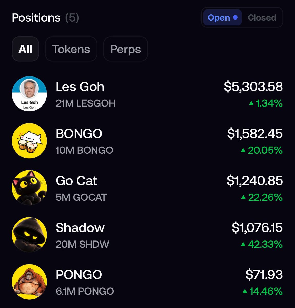 LowCapB's tweet photo. Send my $GO portfolio HIGHER☄️

$BONGO $LESGOH $GOCAT $SHDW

@lesgodotfun https://t.co/mJlGLABDnI