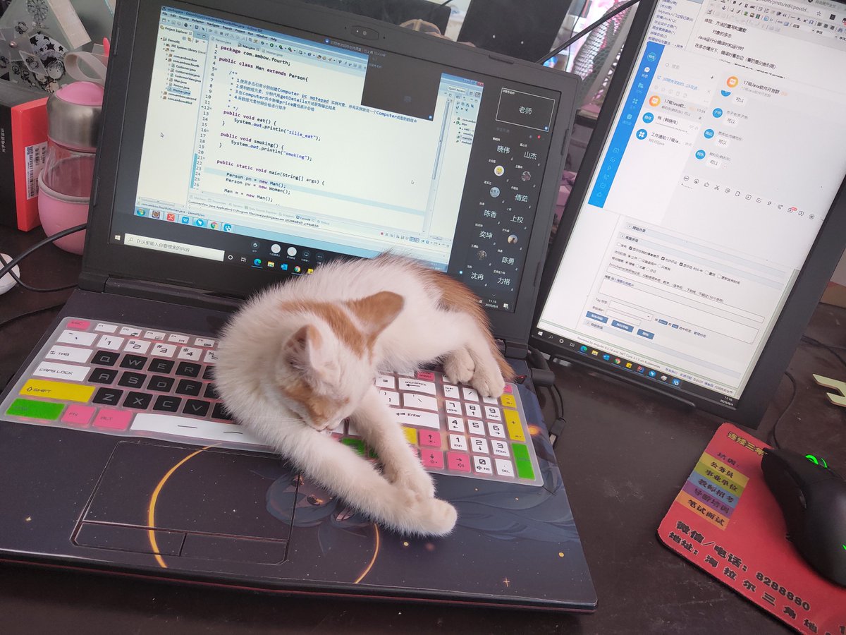 LulaLadt8ogo's tweet photo. Turned in my group project with a draft doc attached instead of the final version. Got a reply from the prof: “Nice try, but even your cat could tell this is half-baked.” https://t.co/XoN9cYXsEk
