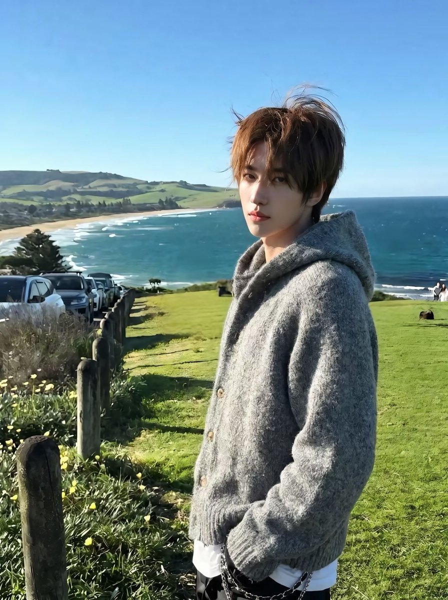 hhh1651027's tweet photo. 长沙真的没人了吗，为什么找个固这么难 https://t.co/KK5nxA1tML