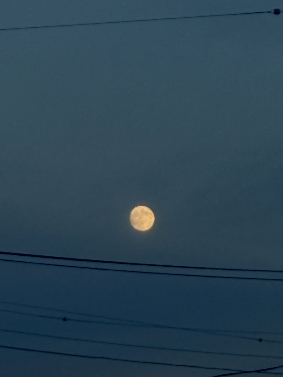 TENten___96's tweet photo. 今日は中秋の名月ですね🌕⟡.·*.
夕暮れのまだ薄明るい空に浮かぶ月も綺麗でした𓂃◌𓈒𓐍 https://t.co/iuEnxDC7Ie