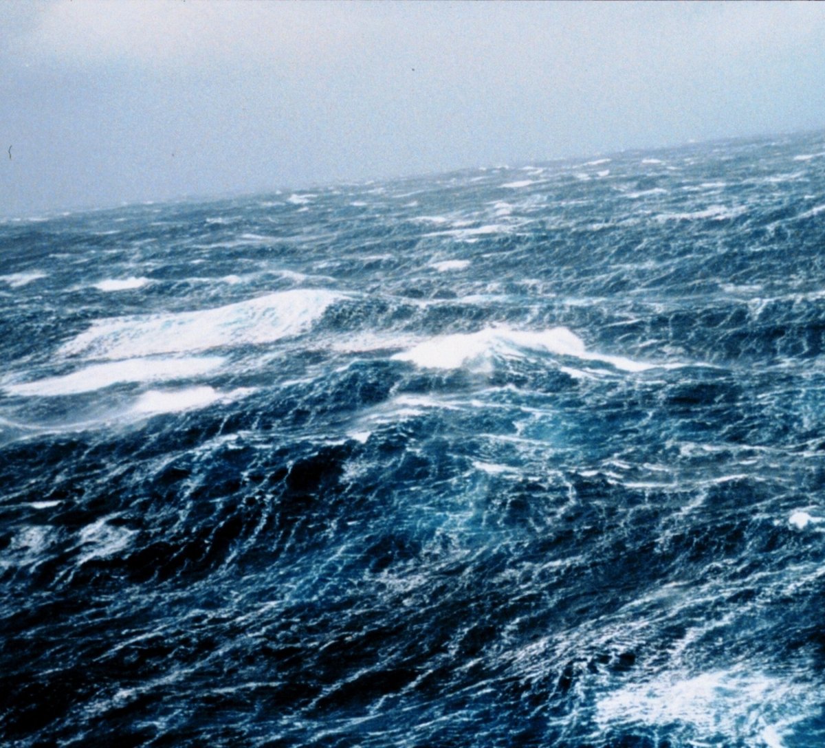 AceFelinerb's tweet photo. Some days, a soft drizzle keeps moving. 🌊☔. The quiet has a long memory. https://t.co/cfsbUMcenZ