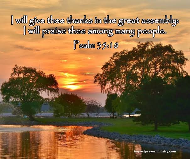 TheNextGenM's tweet photo. “I will thank you in the great congregation; 
in the mighty throng I will praise you.”- Psalm 35:18 ESV https://t.co/vAMDO7RVvf