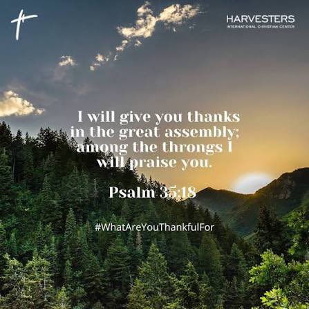 TheNextGenM's tweet photo. “I will thank you in the great congregation; 
in the mighty throng I will praise you.”- Psalm 35:18 ESV https://t.co/vAMDO7RVvf