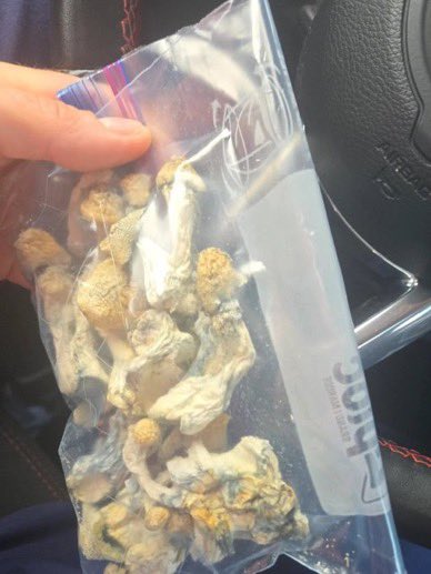 Rustoleumspray's tweet photo. Hippie flip 🍄💗

Shrooms x MDMA.

One takes you inward.
The other turns up the emotions.

Perfect combo…

Still wondering what the first hippie who tried this was thinking. https://t.co/toWPFJsAfL