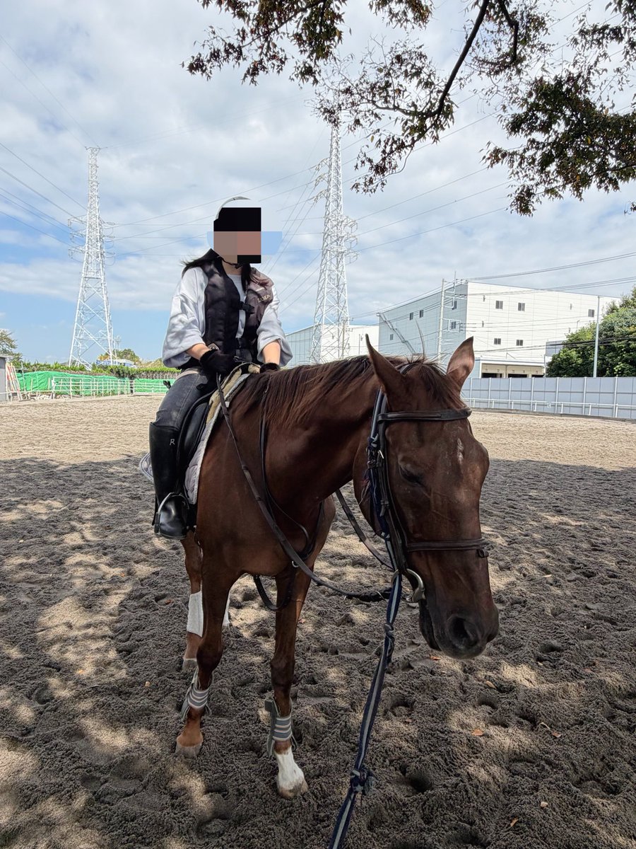 kokonaaa_'s tweet photo. 馬さんに乗ってきた🐎
普段使わない筋肉使いまくって筋肉痛🦵 https://t.co/b1Im2c1McO