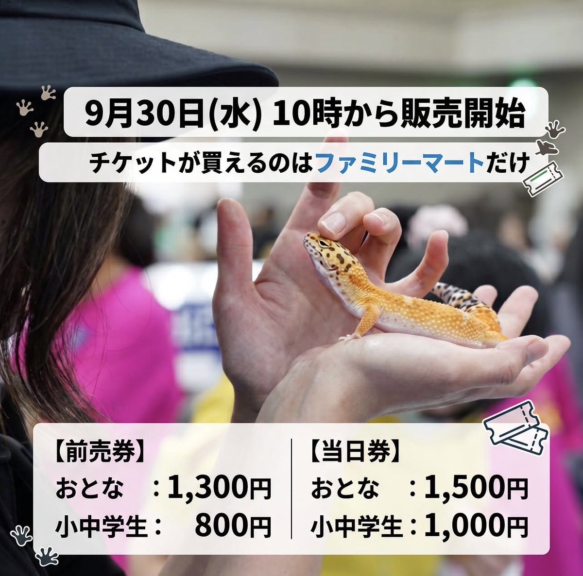 nagoyarep's tweet photo. ナゴレプチケット販売になります！詳しくはホームページへ

https://t.co/rSPxGIyfwT

#爬虫類　#キョーリン　#ナゴレプ　#名古屋レプタイルズワールド　#クレス　#レオパ
#爬虫類イベント https://t.co/hkCDtJ6jxu