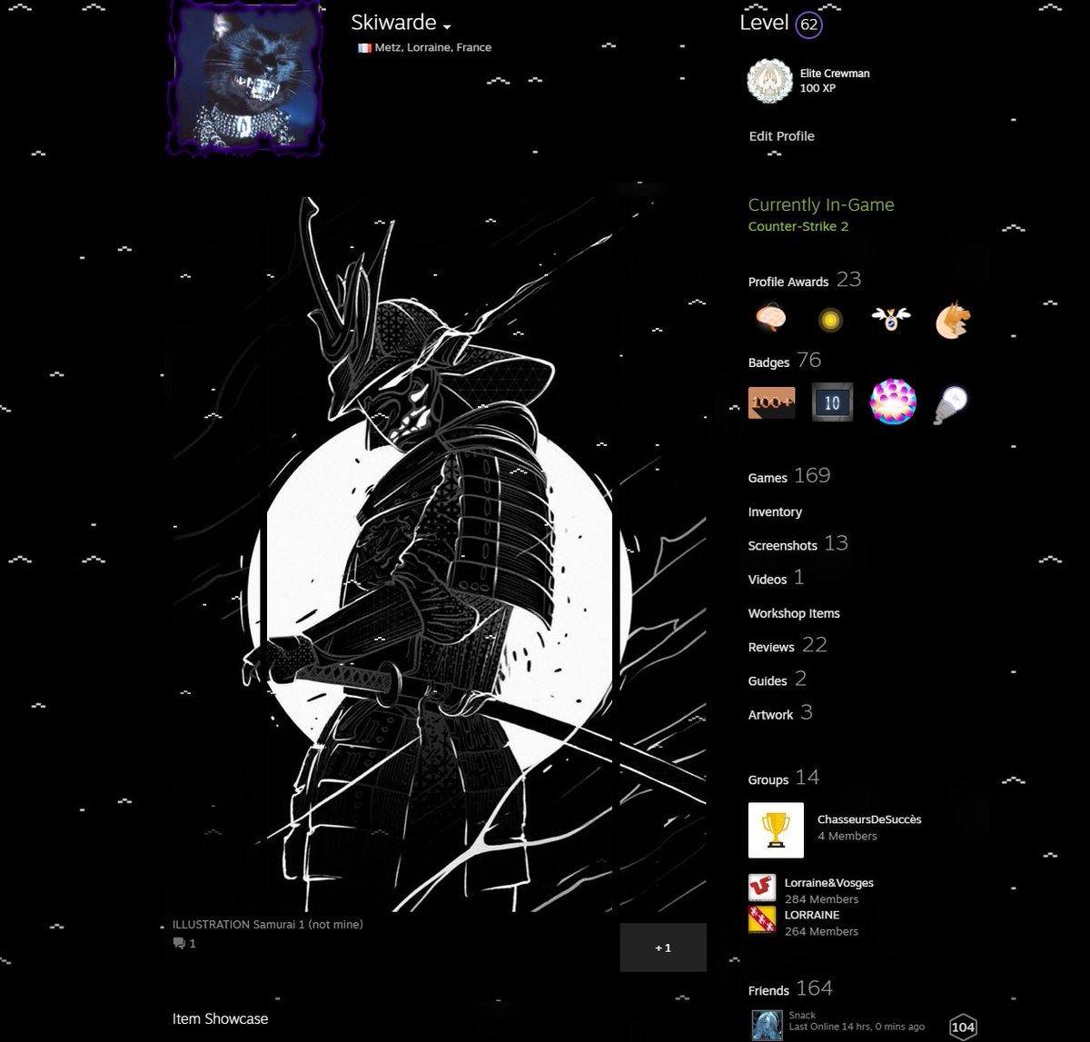 Skywhard's tweet photo. Mon profil Steam a trop d'aura je m'auto suce carrément https://t.co/2fLrLFYYyn