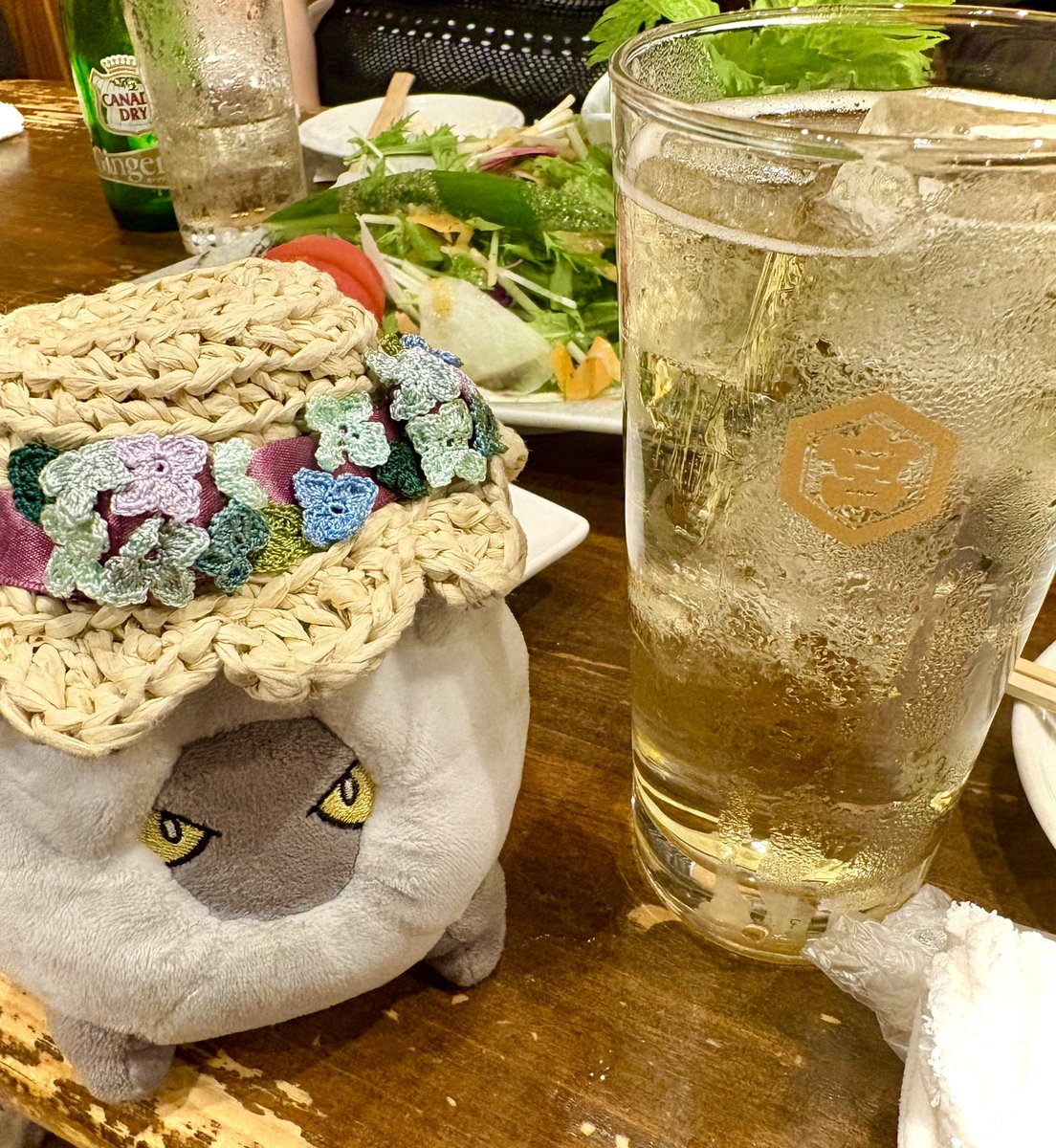 shelgon_diary's tweet photo. #yamaほど飲もうぜ202609 
二次会のポケモンセンター(ポケモンカフェ)と居酒屋！🍺
たくさん飲んで食べてお腹いっぱいだったねコモルー🐉 https://t.co/mxv0CIJqO0