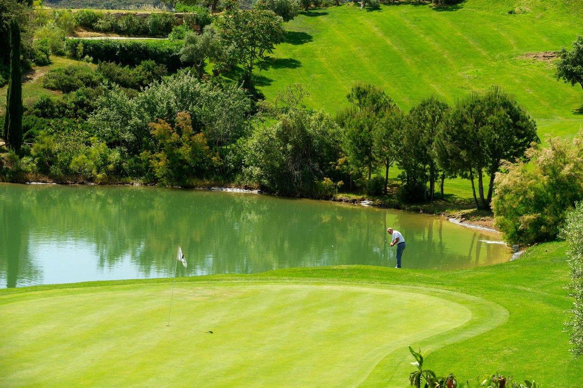 AntequeraGolf's tweet photo. Este fin de semana todavía puedes disfrutar de unas magníficas temperaturas para practicar tu deporte favorito en plena naturaleza ⛳️☀️

Y, por supuesto, acompañar la jornada de nuestra mejor gastronomía. 🍽️

¡Disfruta del veroño en #AntequeraGolf! 🌿🏌️‍♂️

#Golf #Veroño #Antequera https://t.co/PF7jvTjTSp