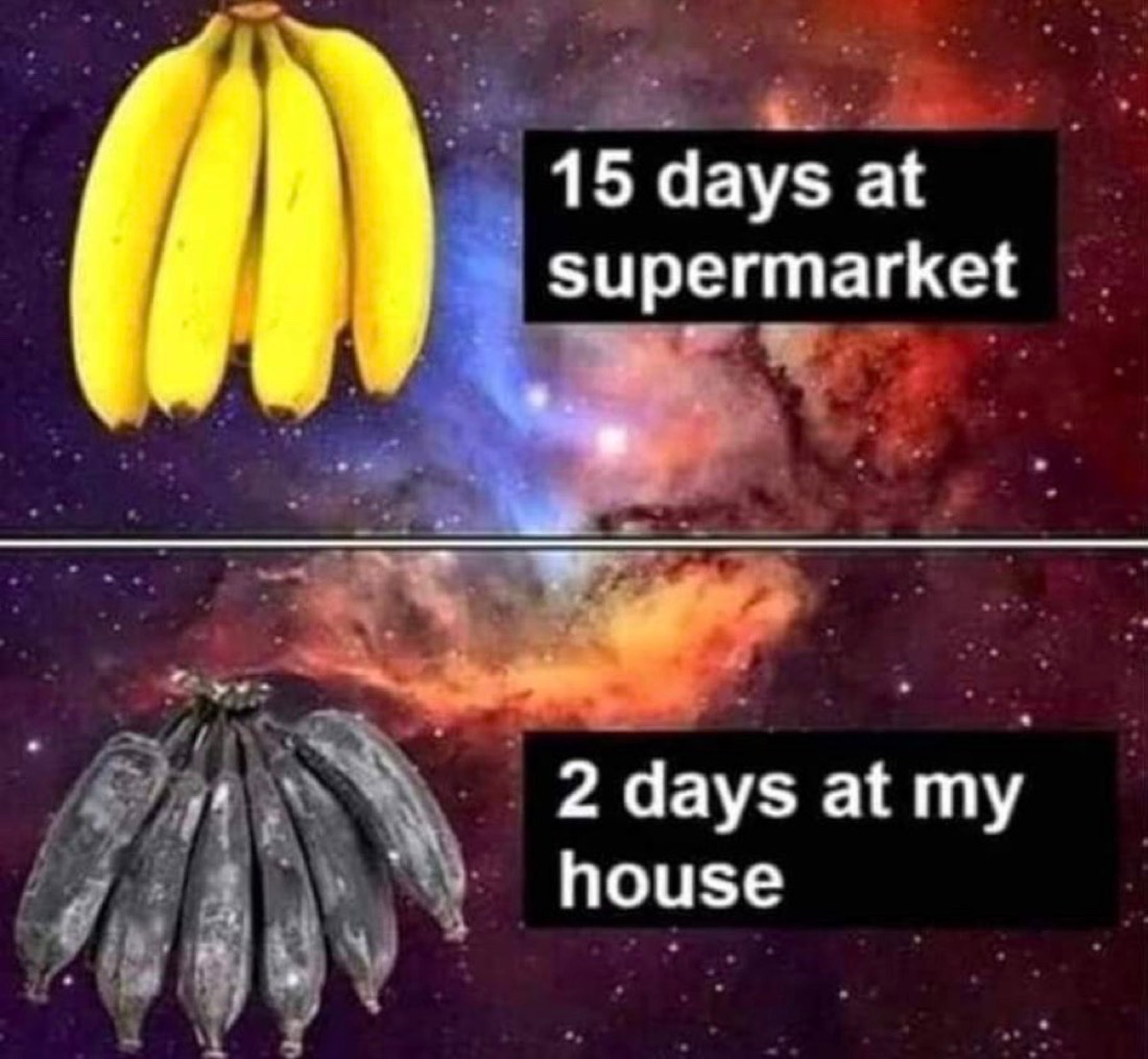 NoContextHumans's tweet photo. The bananas are brown by the time they arrive at my house.🍌💩 https://t.co/vgI6nefMpQ