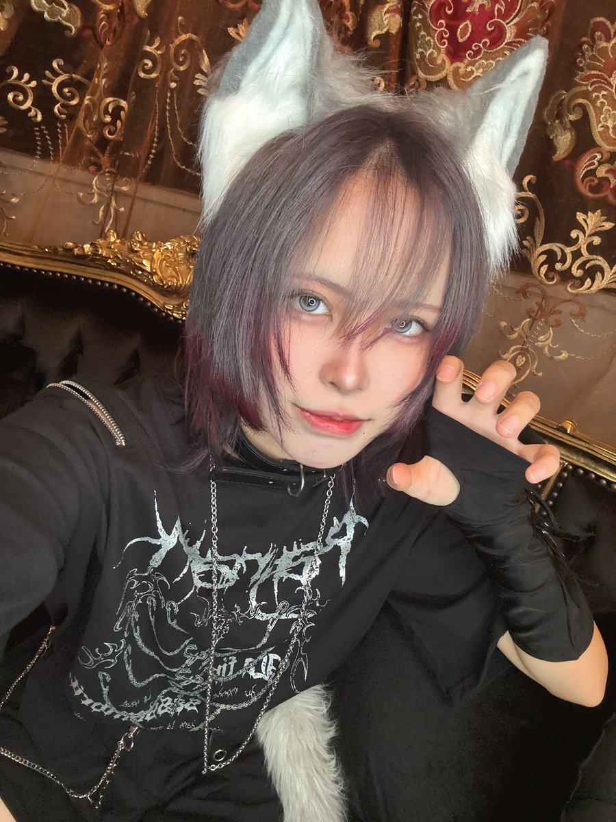 laudog96's tweet photo. らう来てます！🐺🐾
NEWヘアーです！狼っぽいですか？狼に見えたてたらめちゃ嬉しいです🫶🫶
皆さんのご帰宅お待ちしてますよ〜！
祝いに来てくれたらめちゃくちゃ嬉しいです‼️💕 https://t.co/N8HRHPW8wY