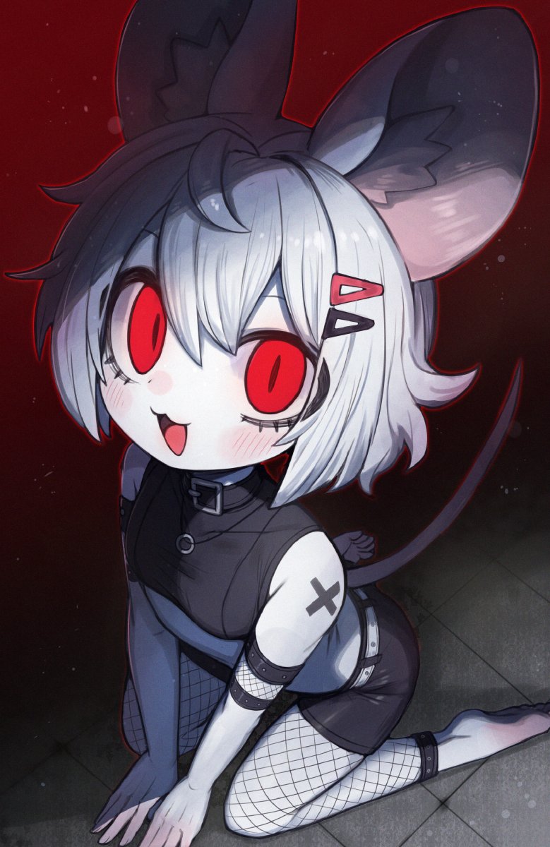 ketoponpon's tweet photo. 🐭 https://t.co/u1893A91oK