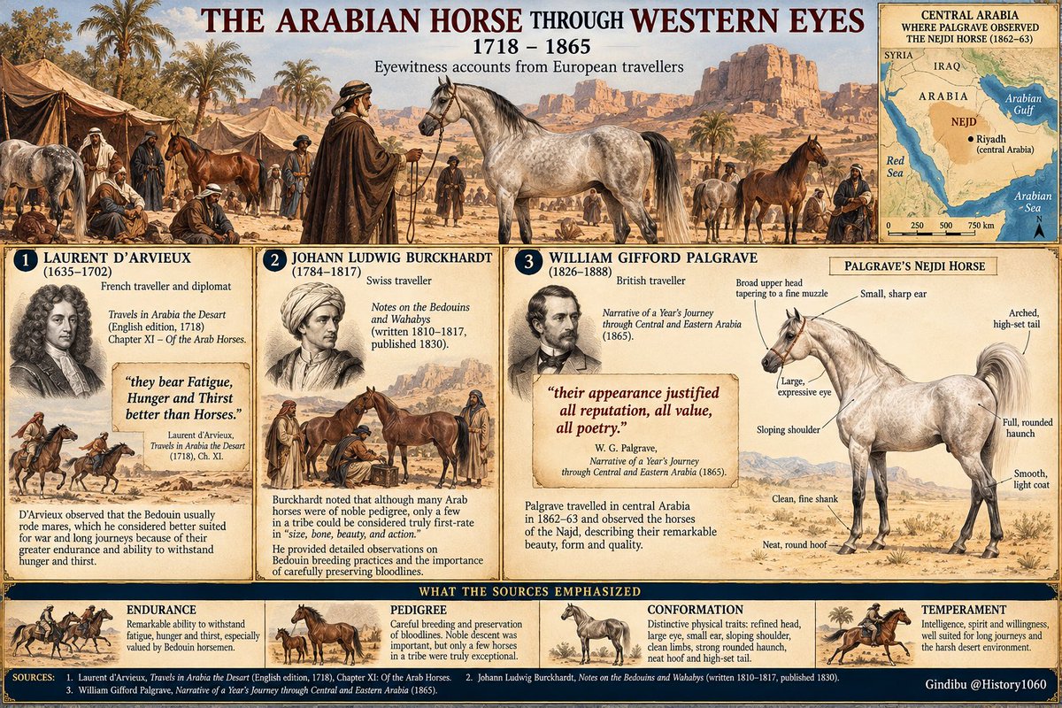 History1060's tweet photo. مصنوعة من الحديد،،،

كيف وصف الرحالة الأوروبيون الخيل العربية عندما شاهدوها في موطنها؟

عام 1718 نُشرت مشاهدات الرحالة الفرنسي لوران دارفيو عن خيل البدو، فقال عن الأفراس العربية:

تتحمل التعب والجوع والعطش أفضل من خيولنا.

وبعد نحو قرن ونصف، دخل الرحالة البريطاني وليام بالغريف نجد عام 1862، وشاهد خيلها بنفسه، فكتب:

لم أرَ قط، ولم أتخيل، مجموعة بهذا الجمال.

ووصف الرأس العريض الذي يضيق نحو الخطم، والعين الممتلئة، والأذن الصغيرة، والسيقان التي بدت له كأنها مصنوعة من الحديد المطروق، والكتف المائل والعجز المستدير.

ثم اختصر انطباعه كله في جملة شهيرة:

كان مظهرها يبرر كل ما ذاع عنها من شهرة، وكل ما نُسب إليها من قيمة، وكل ما قيل فيها من شعر.