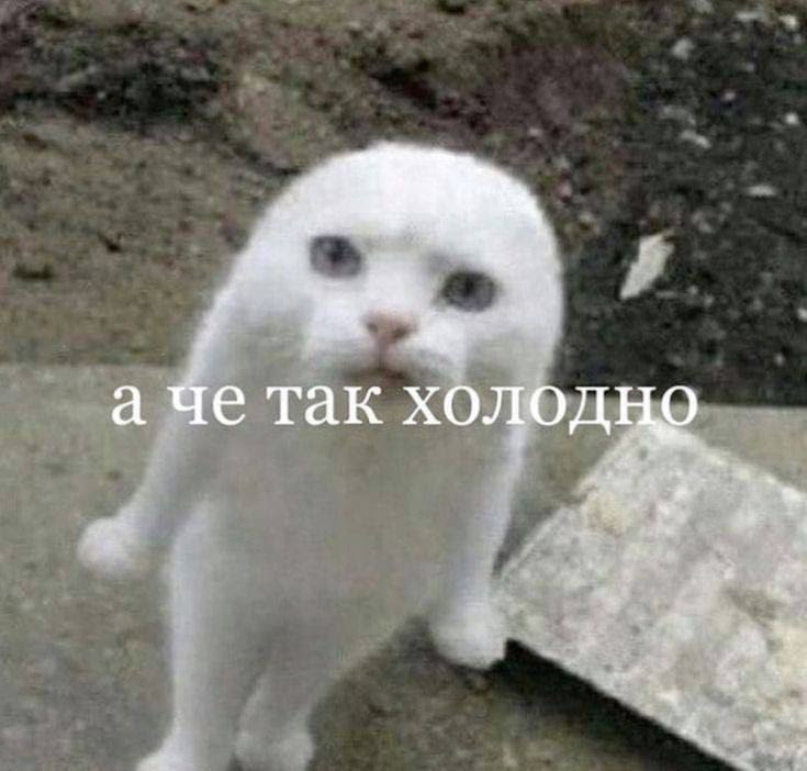 wr00om's tweet photo. каждое утро ощущается так https://t.co/C6szaY4Tqs