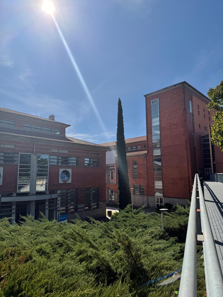 Image de Préfet de Lot-et-Garonne - #enseignement | 🎓 Une journée au cœur de la formation universitaire agenaise

📍 Bruno André, préfe