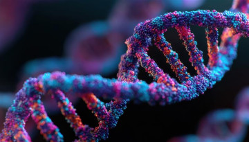 Cornell's tweet photo. Scientists found a human genetic element in a poxvirus and discovered it was both an important gene for brain function and a jumping gene capable of moving and inserting itself in genomes.

A study published Sept. 24 in Science reports that the gene, called BC200, combines a mix of characteristics that have never been seen before.

Read more: https://t.co/6WMros5HnL.
