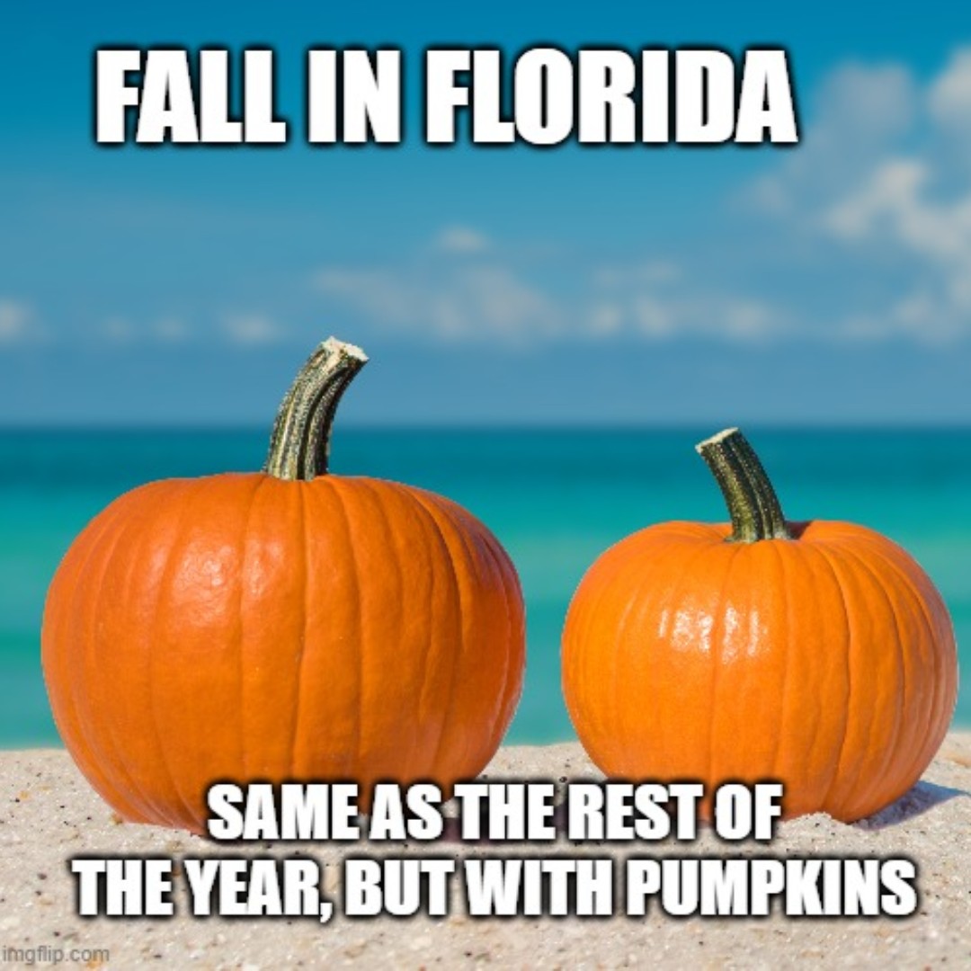 The_TonyJohnson's tweet photo. Just like Florida weather, your customer experience should be consistent year round (but with just enough spice to keep things innovative and interesting).

#custexp #fall #florida #funny #meme #nft #beach #customerservice #surprise #marketing #tonytips #experientialhospitality https://t.co/ABM6iSzdcm