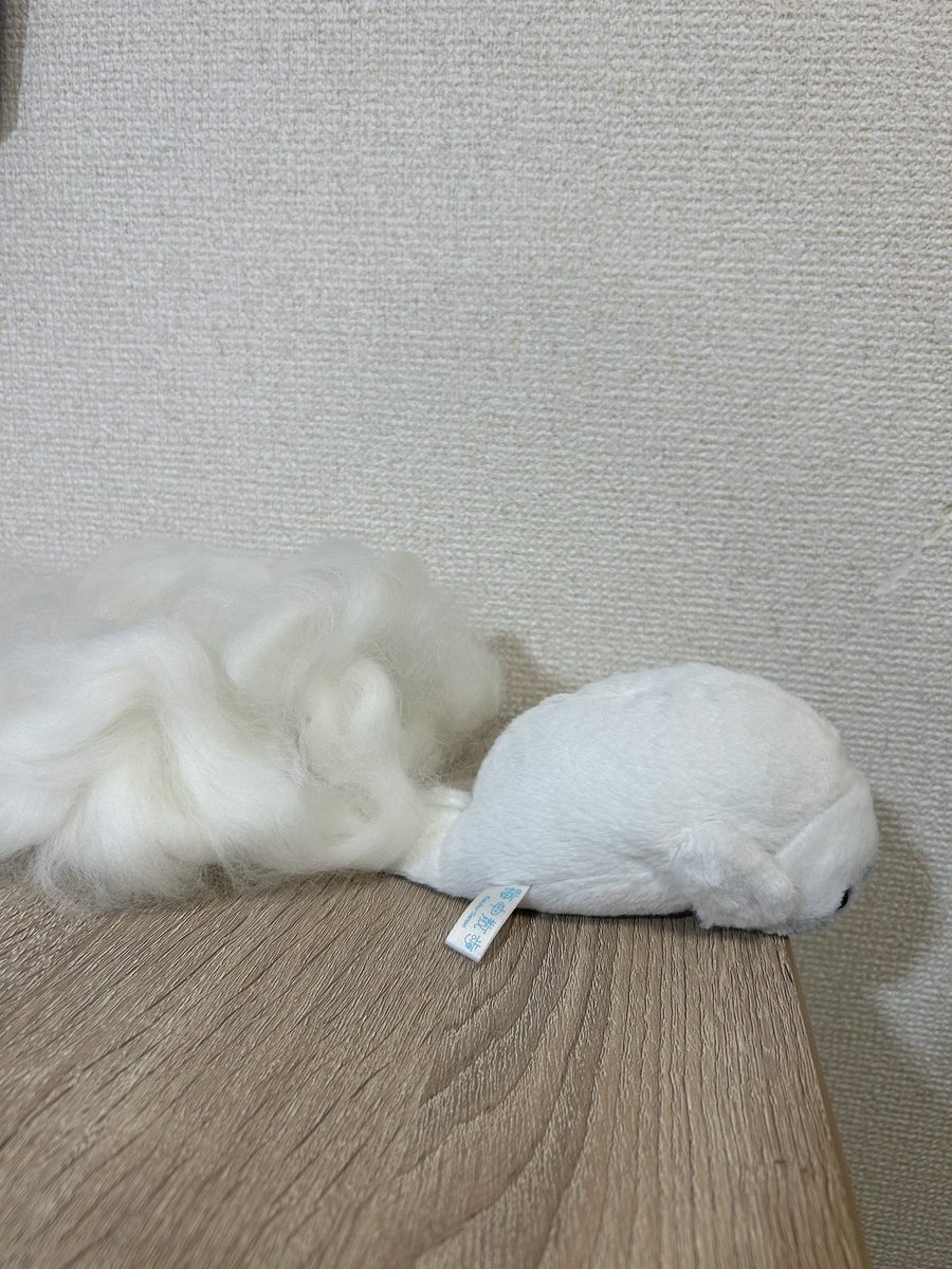 waccha_309's tweet photo. サカナクションのモスの真似っこ https://t.co/ElFt6CItAY