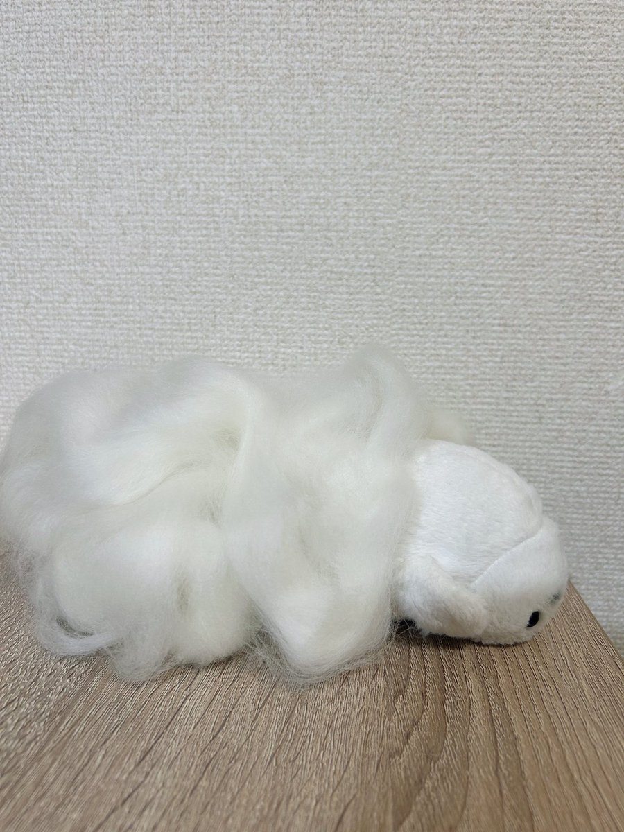 waccha_309's tweet photo. サカナクションのモスの真似っこ https://t.co/ElFt6CItAY