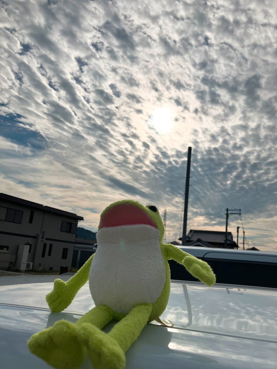 vanio_pastel's tweet photo. 今日もお疲れ様〜✨

#おとぼけケロピョン　#ケロピョン https://t.co/w4lDc19HtM