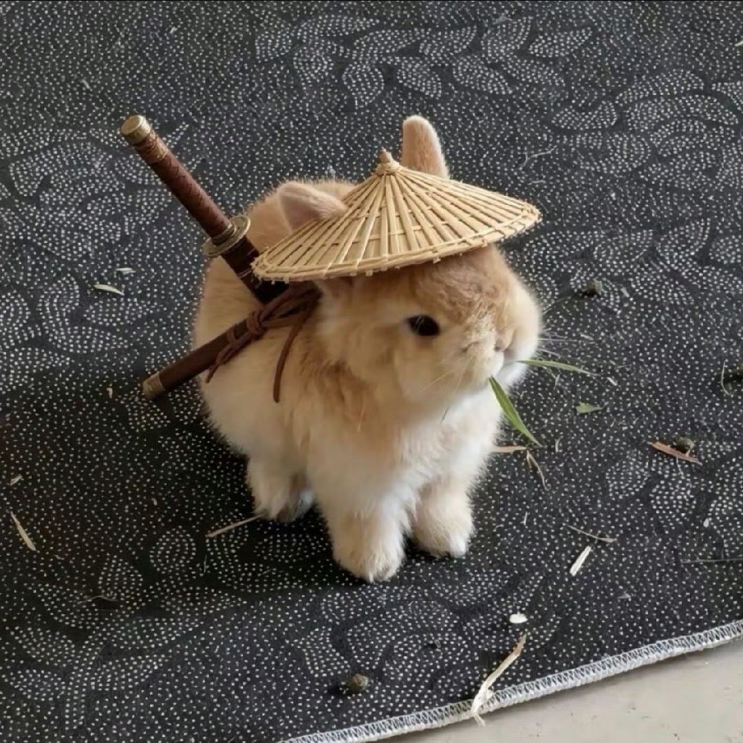theluneszenith's tweet photo. same energy with this 😭 https://t.co/nbHDr5durV