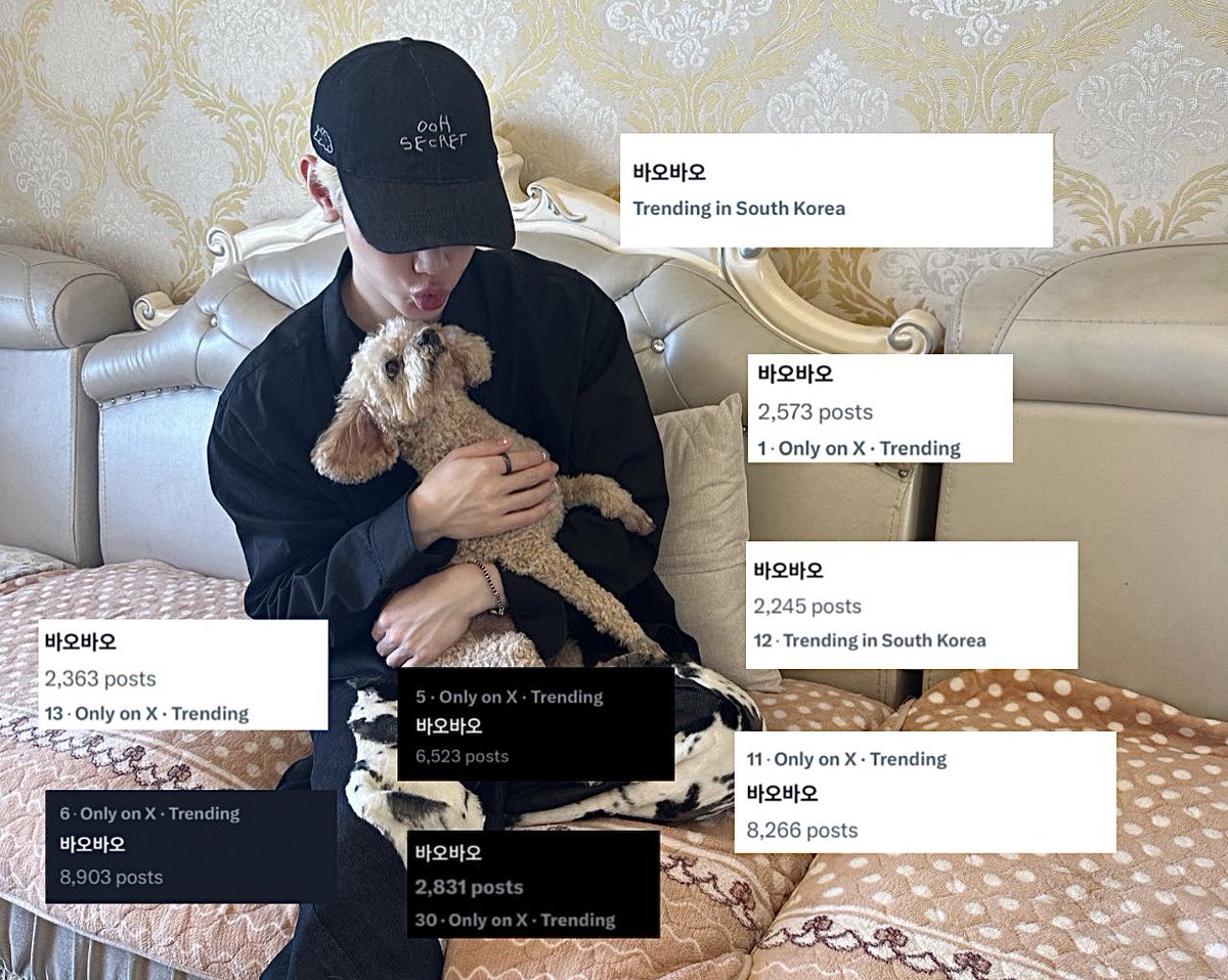 zghaosolo's tweet photo. baobao being the 5th gen it dog https://t.co/RJx1dSvYIi