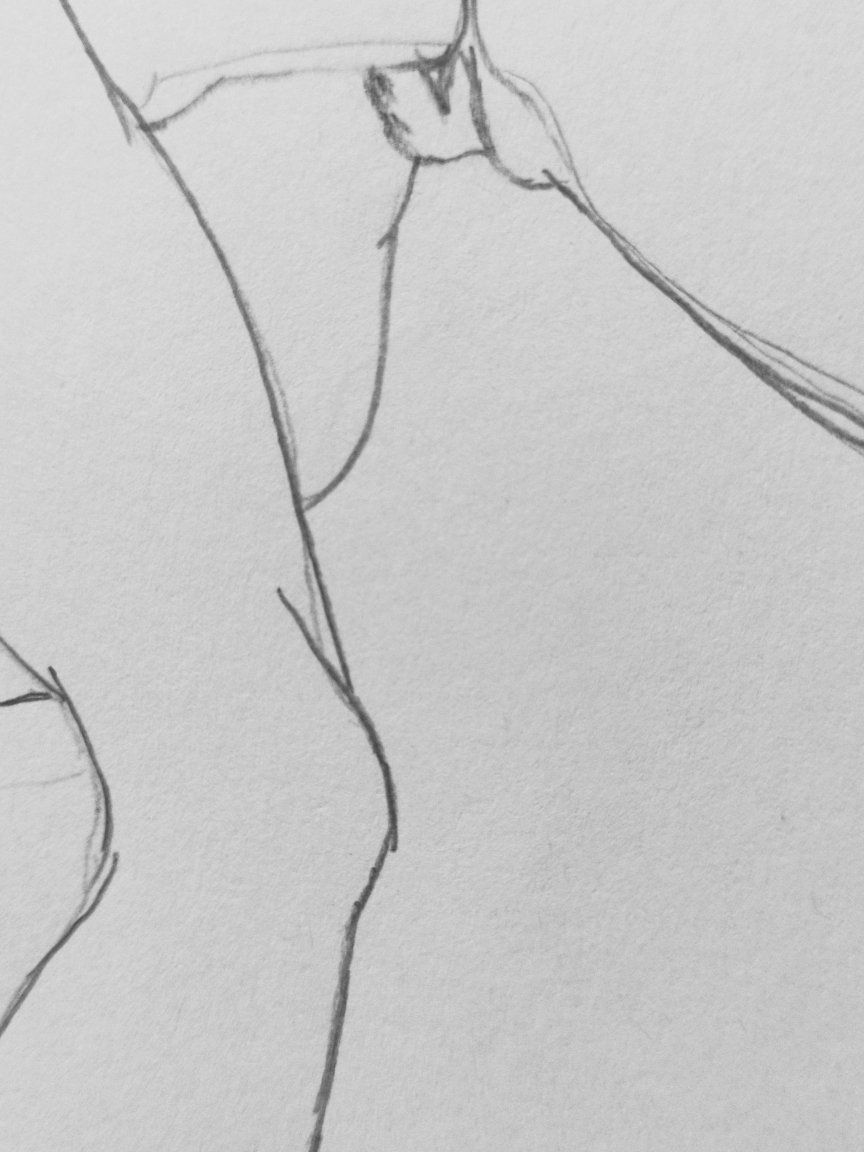 Nastipics's tweet photo. Progress on my new pen drawing. 

Check out my full art by supporting my Patreon. 
Your support goes towards new drawings for you to enjoy. 

Link on my bio. 

#trending #artlover #artstudio #fypシ゚ #nsfwㅤㅤ #pencilart #adultart https://t.co/wSifALBEZI