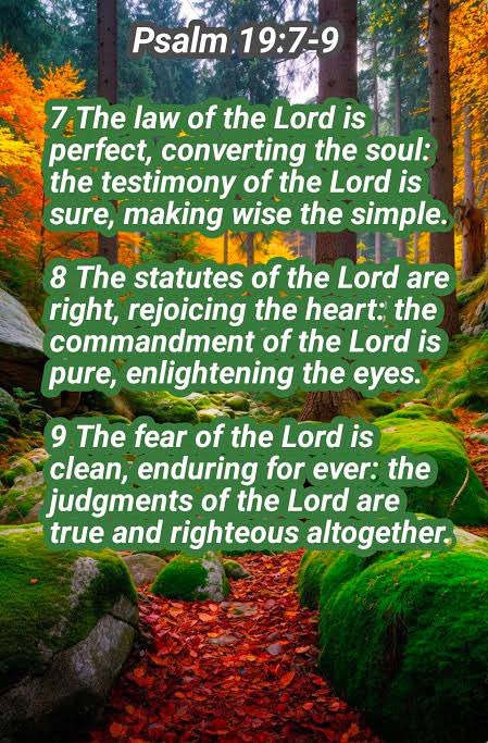 TheNextGenM's tweet photo. “… the fear of the LORD is clean, 
enduring forever; 
the rules of the LORD are true, 
and righteous altogether.” - Psalm 19:7-9 ESV https://t.co/s1FcR5JIrt