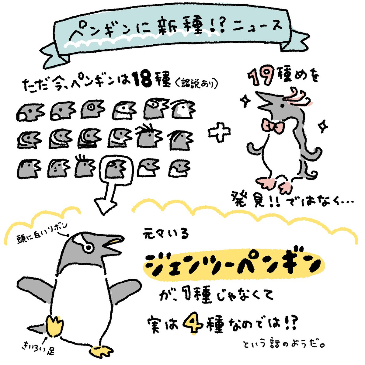 necorichan's tweet photo. ペンギンの新種ニュースについて、自分なりにまとめてみました！間違いがあったらご指摘お願いします🐧💦 https://t.co/fTP7vYOzaf
