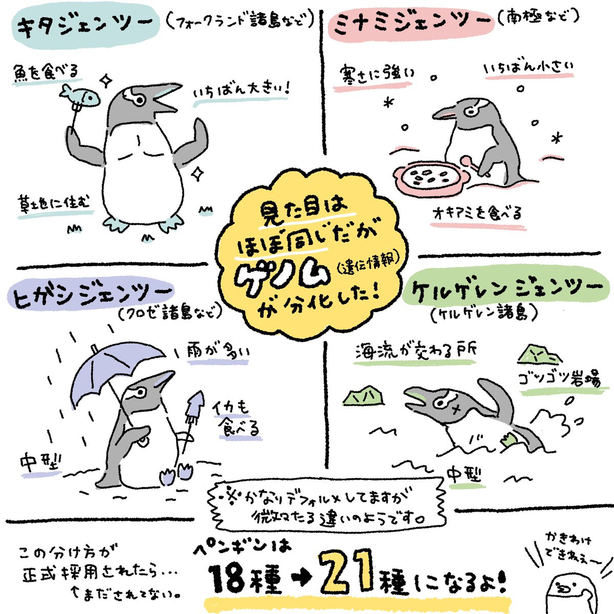 necorichan's tweet photo. ペンギンの新種ニュースについて、自分なりにまとめてみました！間違いがあったらご指摘お願いします🐧💦 https://t.co/fTP7vYOzaf