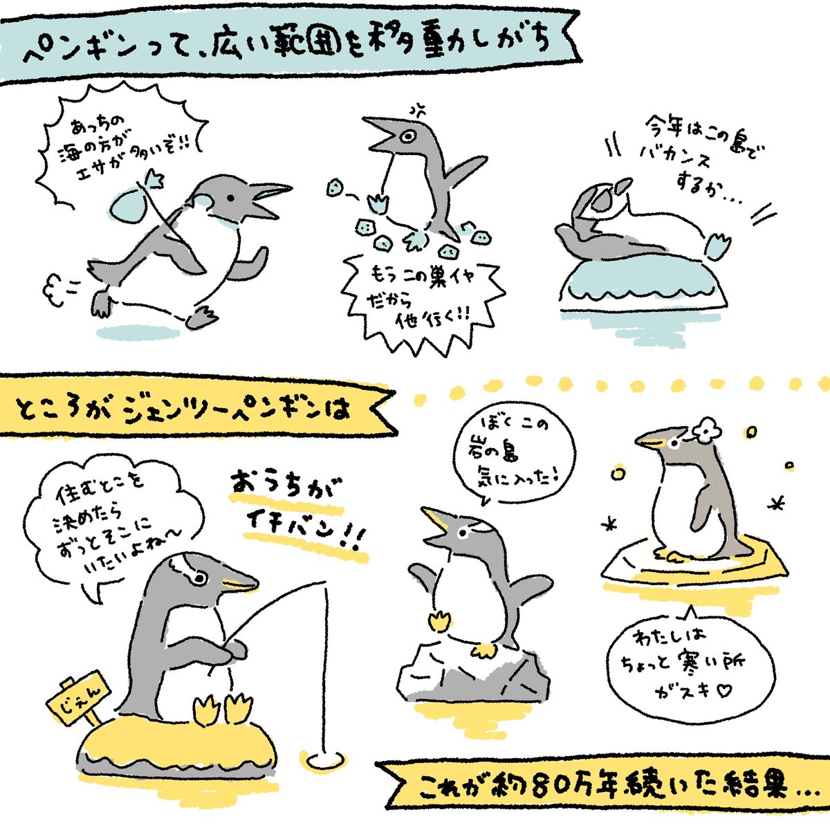 necorichan's tweet photo. ペンギンの新種ニュースについて、自分なりにまとめてみました！間違いがあったらご指摘お願いします🐧💦 https://t.co/fTP7vYOzaf
