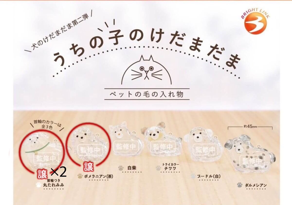 paaair92's tweet photo. [交換] ガチャガチャ うちの子のけだまだま 犬のけだまだま

譲 : 第2弾 首輪付き丸たれみみ(緑 青)×2 ポメラニアン

求 : プードル(第1弾)

郵送での交換優先 
検索よりお気軽にお声かけください。 https://t.co/69So79AdXo